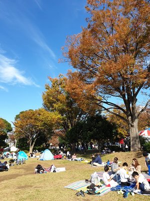 🌳 신코이와 공원 (신코이와 코엔) 이미지 11